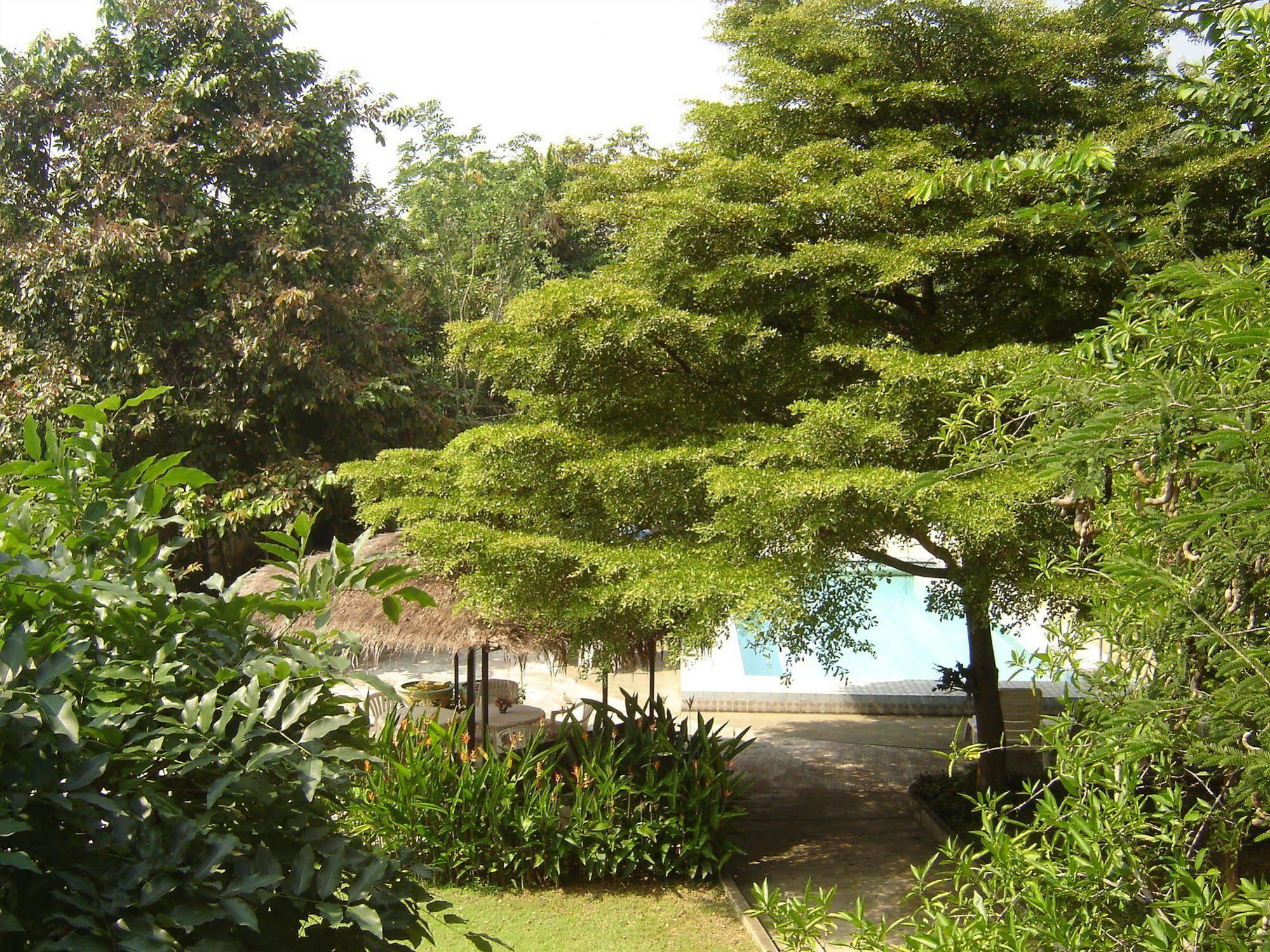 Golden Cupids Hotel Chiang Mai Luaran gambar